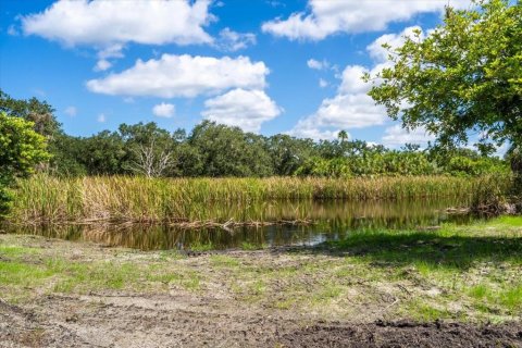 Terreno en venta en Terra Ceia, Florida № 1780846 - foto 23
