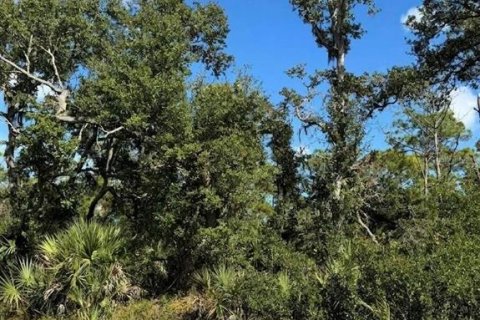 Land in Port Charlotte, Florida № 2158757