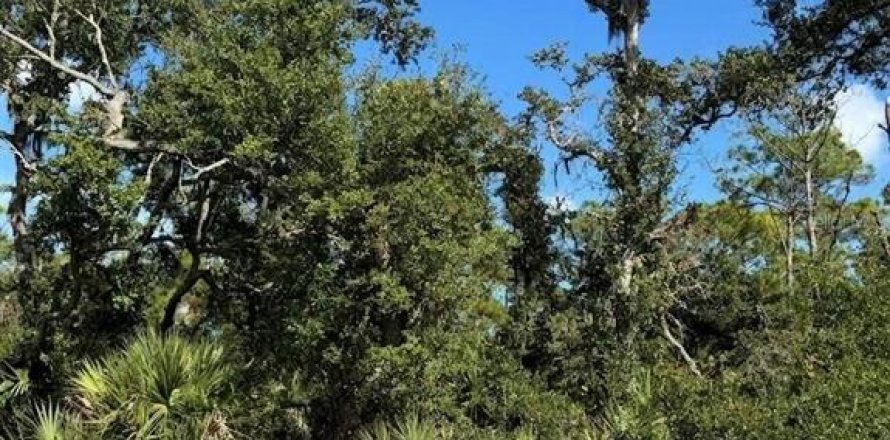 Land in Port Charlotte, Florida № 2158757