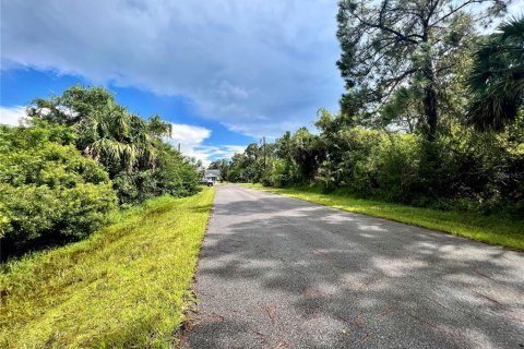 Land in Port Charlotte, Florida № 2165493 - photo 2