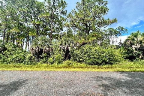 Land in Port Charlotte, Florida № 2165493