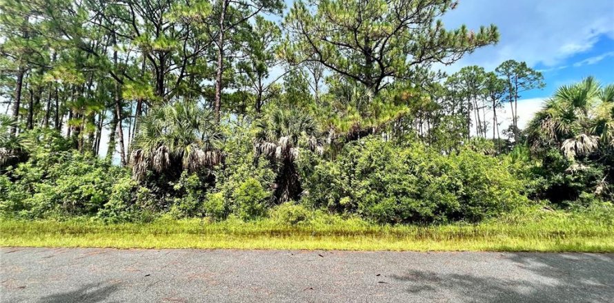 Land in Port Charlotte, Florida № 2165493
