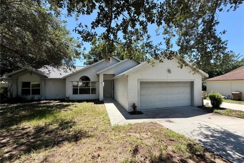 House in Leesburg, Florida 3 bedrooms, 153.66 sq.m. № 2095304