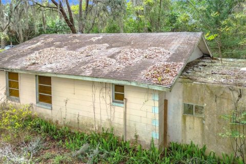 Villa ou maison à Belleview, Floride 2 chambres, 67.35 m2 № 2148541