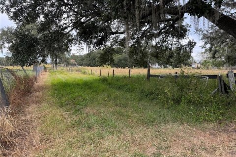 Terreno en venta en Plant City, Florida № 2122116 - foto 2