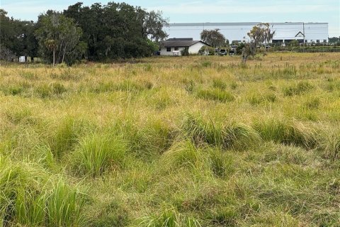 Terreno en venta en Plant City, Florida № 2122116 - foto 6