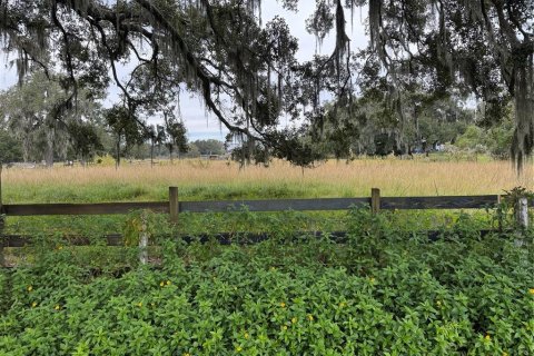 Terreno en venta en Plant City, Florida № 2122116 - foto 4
