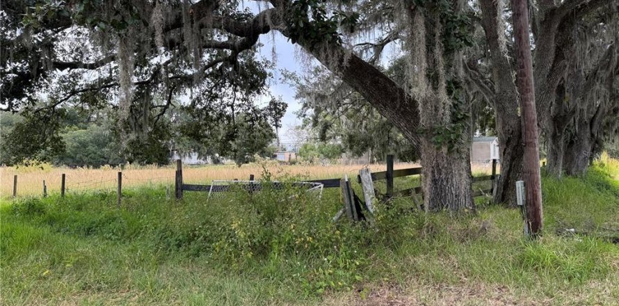 Terreno en Plant City, Florida № 2122116
