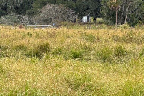 Terreno en venta en Plant City, Florida № 2122116 - foto 8