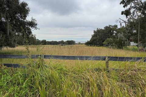Terreno en venta en Plant City, Florida № 2122116 - foto 3