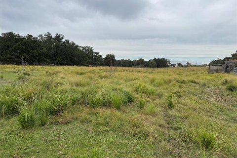 Terreno en venta en Plant City, Florida № 2122116 - foto 10