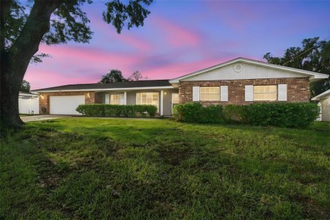 Villa ou maison à Brandon, Floride 4 chambres, 226.03 m2 № 2418553