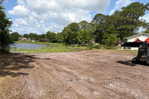 Land in DeBary, Florida № 2164789 - photo 3