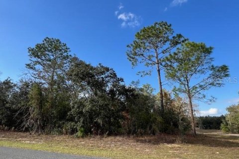 Land in Citrus Springs, Florida № 2160201 - photo 3