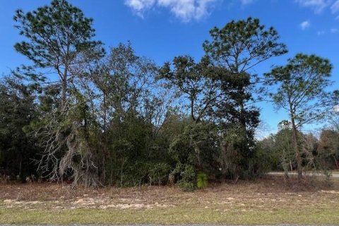 Land in Citrus Springs, Florida № 2160201 - photo 2