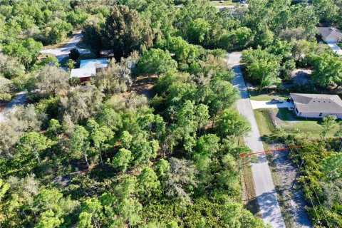 Land in Port Charlotte, Florida № 2228730 - photo 4