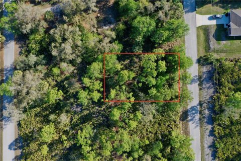 Land in Port Charlotte, Florida № 2228730 - photo 9