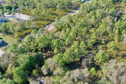 Land in Port Charlotte, Florida № 2228730 - photo 5
