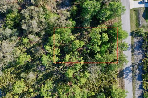 Land in Port Charlotte, Florida № 2228730 - photo 6