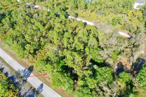 Land in Port Charlotte, Florida № 2228730 - photo 2