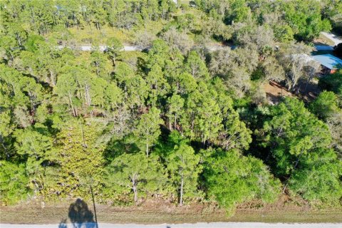 Land in Port Charlotte, Florida № 2228730 - photo 13
