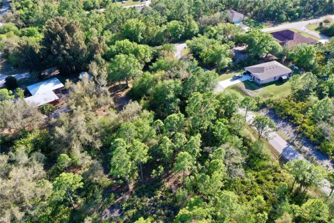 Land in Port Charlotte, Florida № 2228730 - photo 7