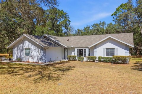House in Hernando, Florida 3 bedrooms, 149.29 sq.m. № 2116032