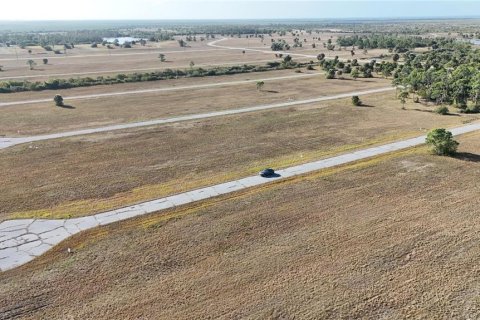 Купить земельный участок в Пласида, Флорида № 2164991 - фото 30