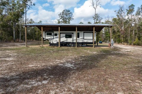 Land in Fort White, Florida № 1523387 - photo 2