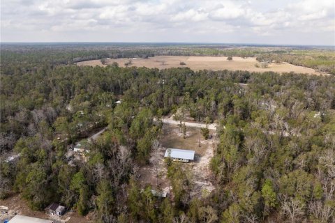 Land in Fort White, Florida № 1523387 - photo 7
