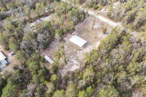 Land in Fort White, Florida № 1523387 - photo 9