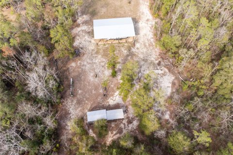 Land in Fort White, Florida № 1523387 - photo 11