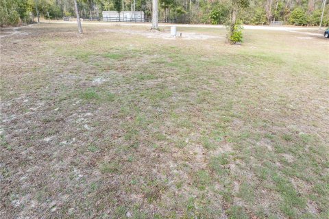 Land in Fort White, Florida № 1523387 - photo 14