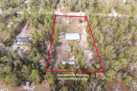 Land in Fort White, Florida № 1523387 - photo 1