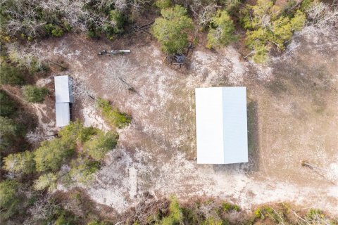 Land in Fort White, Florida № 1523387 - photo 12