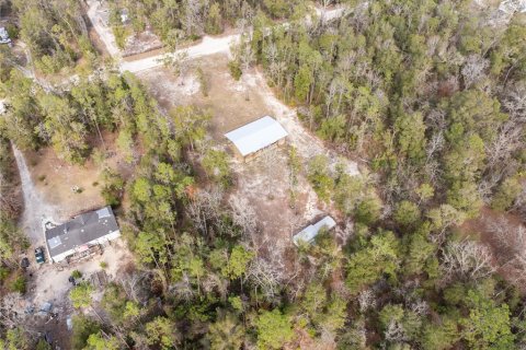 Land in Fort White, Florida № 1523387 - photo 10