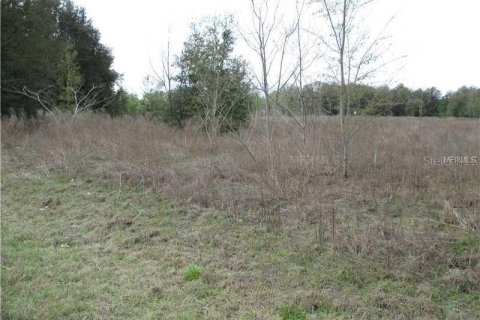 Land in Ocala, Florida № 1545289 - photo 2