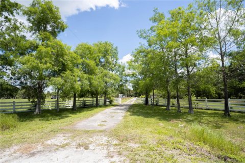 House in Okeechobee, Florida 3 bedrooms № 1864979 - photo 3