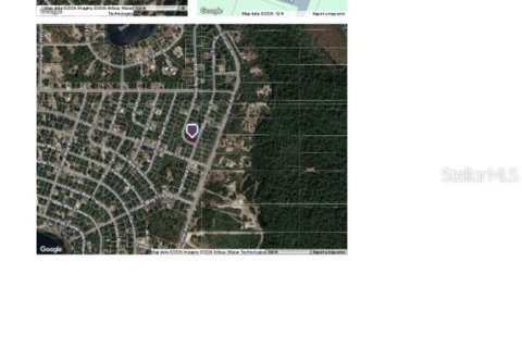 Land in Ocklawaha, Florida № 2163711 - photo 4