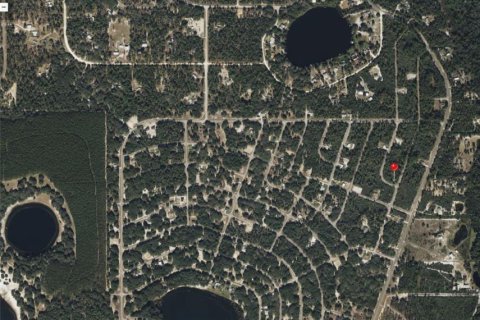 Land in Ocklawaha, Florida № 2163711 - photo 3