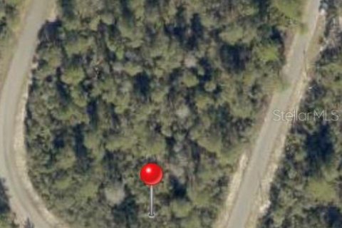 Land in Ocklawaha, Florida № 2163711