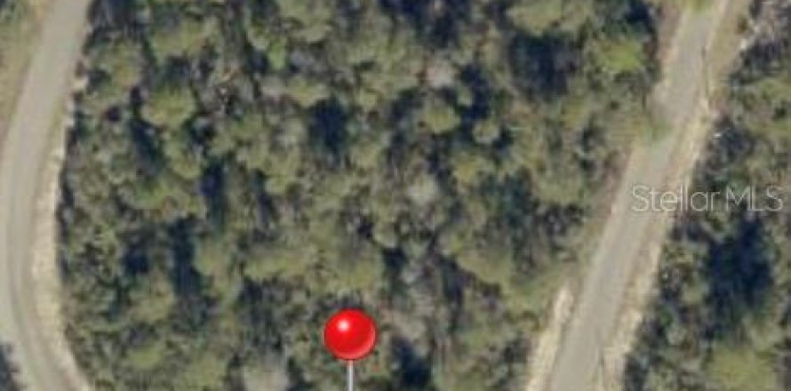 Land in Ocklawaha, Florida № 2163711