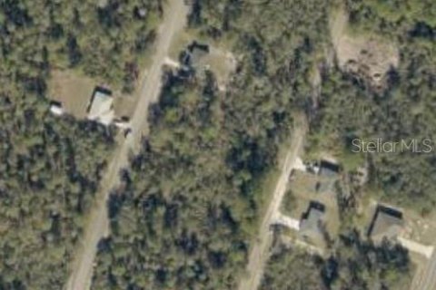 Land in Ocklawaha, Florida № 2163711 - photo 2