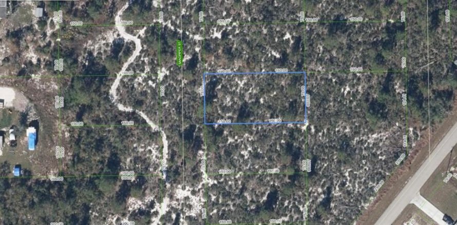 Terrain à Lake Placid, Floride № 2211614