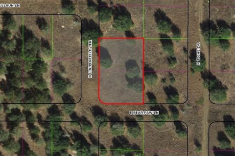 Land in Inverness, Florida № 2161966 - photo 2