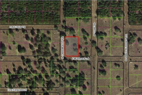 Land in Inverness, Florida № 2161966