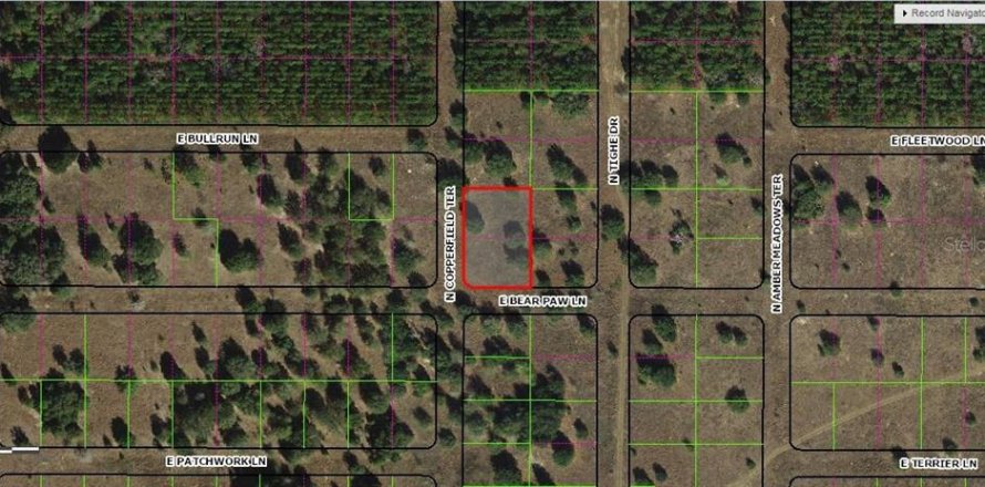 Land in Inverness, Florida № 2161966