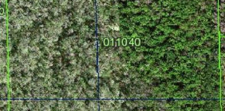 Земельный участок в Лейкленд, Флорида № 1334002