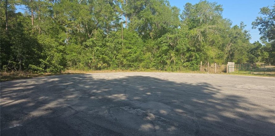 Land in Brooksville, Florida № 1774990