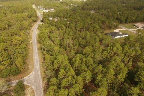 Land in Brooksville, Florida № 1774990 - photo 18